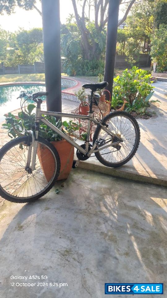 Siver 26 Silverback Oakkland Siver 26 Silverback Oakkland