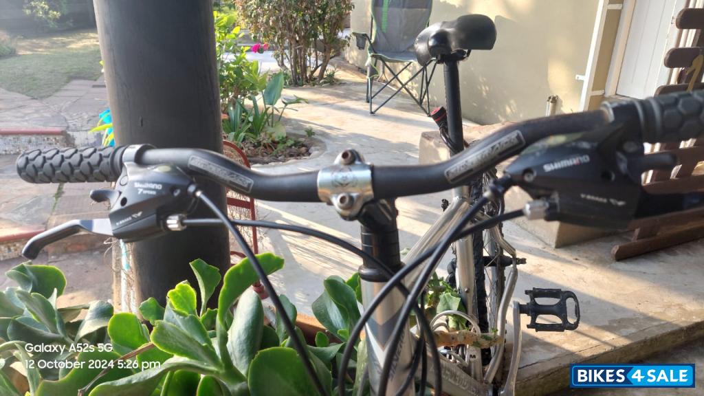 Siver 26 Silverback Oakkland Siver 26 Silverback Oakkland