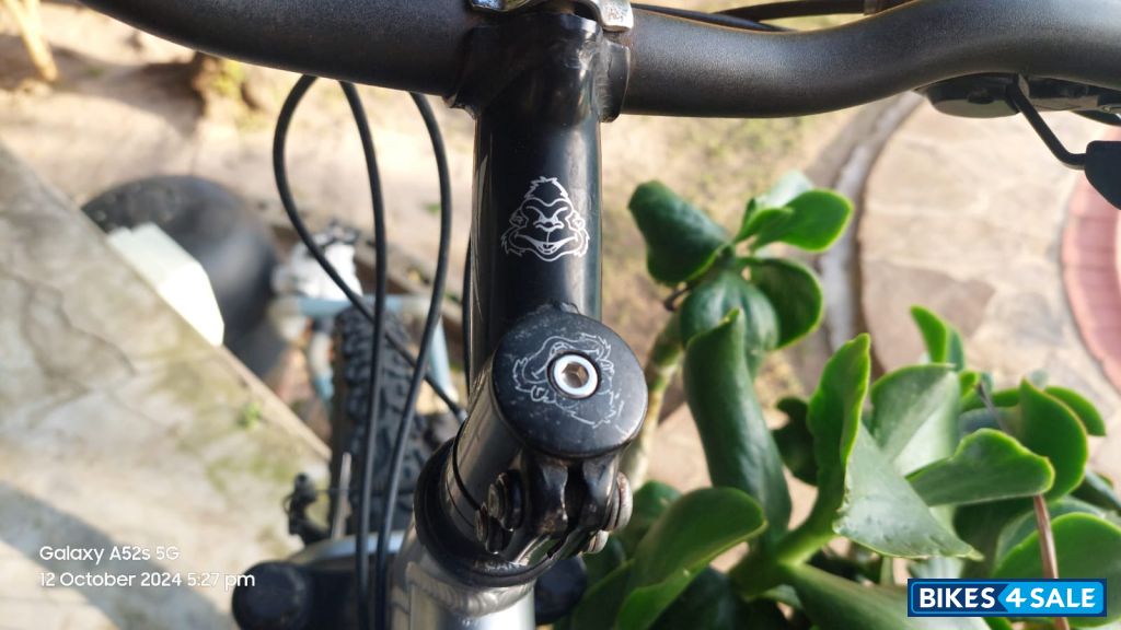 Siver 26 Silverback Oakkland Siver 26 Silverback Oakkland