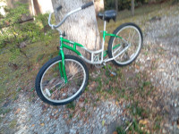 Schwinn S26O3TG 2005 Model