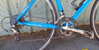 Blue Giant Allux Defy SL ROAD BIKE