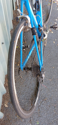 Blue Giant Allux Defy SL ROAD BIKE