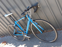 Blue Giant Allux Defy SL ROAD BIKE