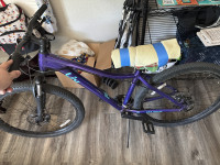 Ultra Violet/light Blue Bliss 3