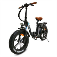 Bagi Bike B10 Bold Low-Step Folding Fat Tire