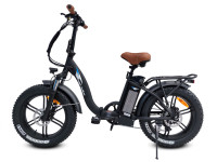 Bagi Bike B10 Bold Low-Step Folding Fat Tire