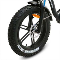 Bagi Bike B10 Bold Low-Step Folding Fat Tire