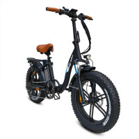 Bagi Bike B10 Bold Low-Step Folding Fat Tire