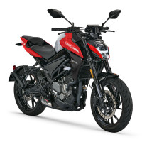 CFMoto 2024 300NK