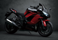 Kawasaki Ninja 1000SX 40th Anniversary Edition 2024