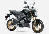 Kawasaki Z125 Pro 2025